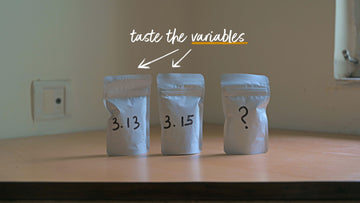 Variables 101