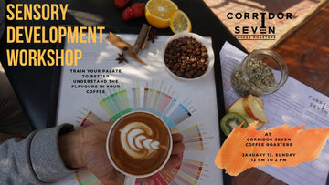 Sensory Development Workshop