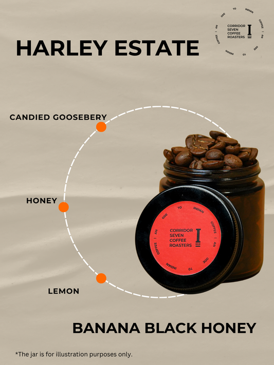 Harley Estate Banana Black Honey