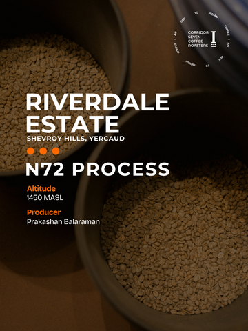 Riverdale Estate N 72 Process