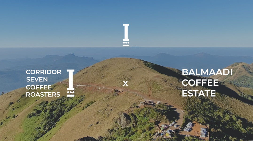 A Delightful Tale from the Nilgiri Mountains - Balmaadi Coffee Estate