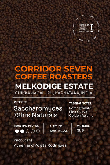 Melkodige Estate Saccharomyces 72hrs Naturals