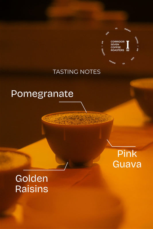 Melkodige Estate Saccharomyces 72hrs Naturals