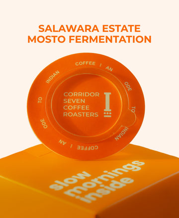 UFO – Coffee Drip Bags (Salawara Estate Mosto fermentation)
