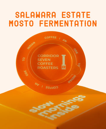 UFO – Coffee Drip Bags (Salawara Estate Mosto fermentation)