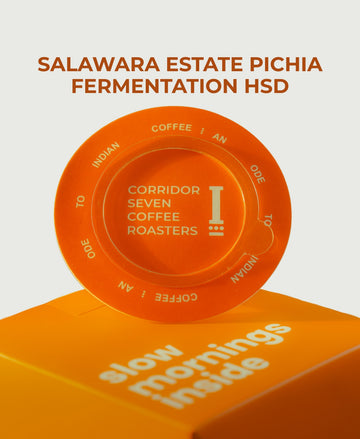 UFO – Coffee Drip Bags (Salawara Estate Pichia Fermentation HSD)