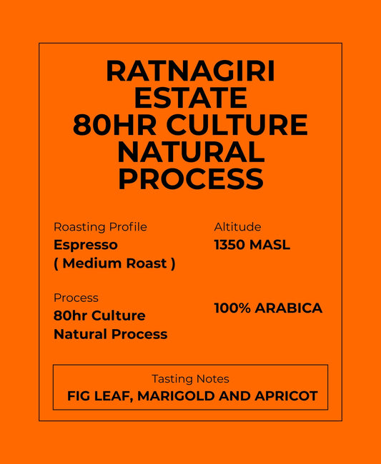 UFO – Coffee Drip Bags (Ratnagiri Estate 80hr Culture Natural Process)