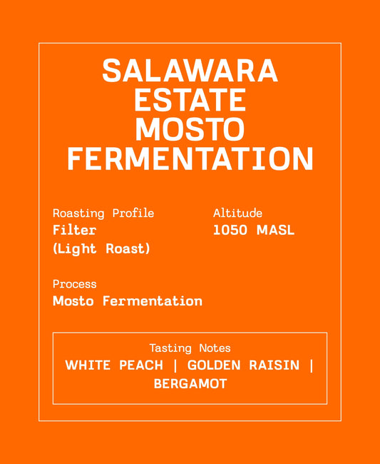 UFO – Coffee Drip Bags (Salawara Estate Mosto fermentation)