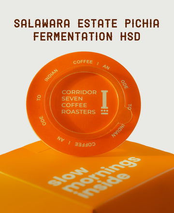 UFO – Coffee Drip Bags (Salawara Estate Pichia Fermentation HSD)