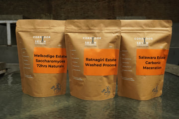Explorer Bundle