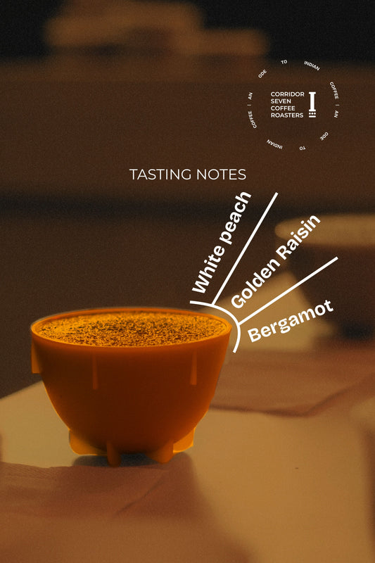 Salawara Estate Mosto fermentation